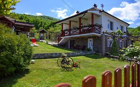 Casa Dafin Tekija - Kladovo